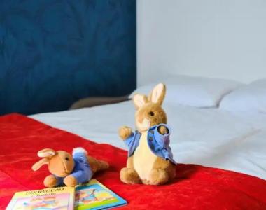 Mercure Chartres Cathedrale - 52