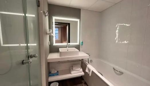 Novotel Suites Clermont Ferrand Polydome - 99