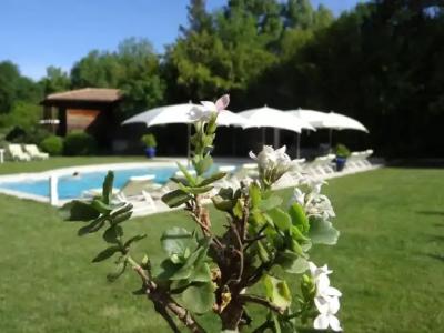 Le Verger Maelvi - 19