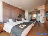 Standard Double room with garden view