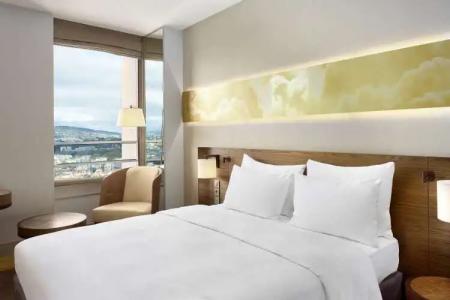 Radisson Blu, Lyon - 110