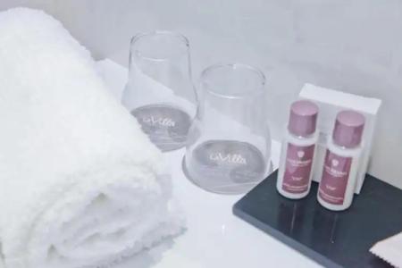 la Villa Nice Promenade - 65