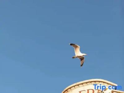 Albert 1'er Nice, France - 134