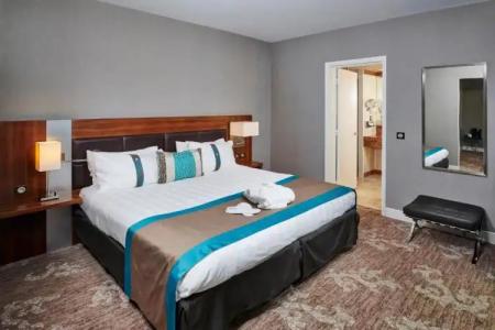 Holiday Inn NICE by IHG - 24