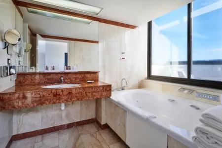 Holiday Inn NICE by IHG - 7