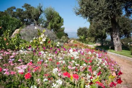 Le Roc e Fiori Hôtel - 23