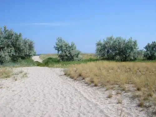 HolinHoll - 86