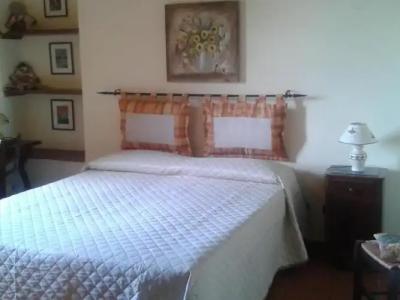 Poggio dell'Olivo - 1