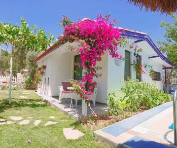 Masal Tatil Evi - 54