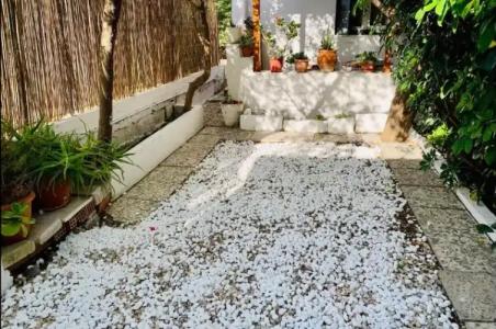 Semiramis Guesthouse - 68