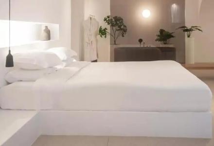 Lilium Santorini - 65