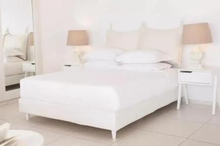 Lilium Santorini - 22