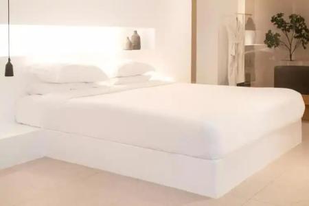 Lilium Santorini - 66