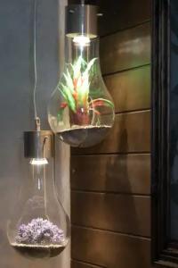 Elixir Del Mar on the Beach - 65