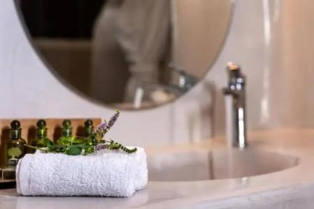 Splendour & Suites - 211