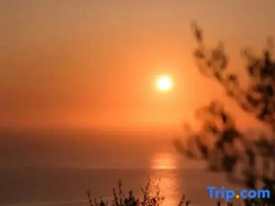 Splendour & Suites - 284