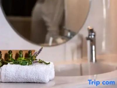 Splendour & Suites - 287