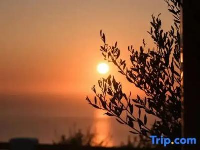 Splendour & Suites - 286