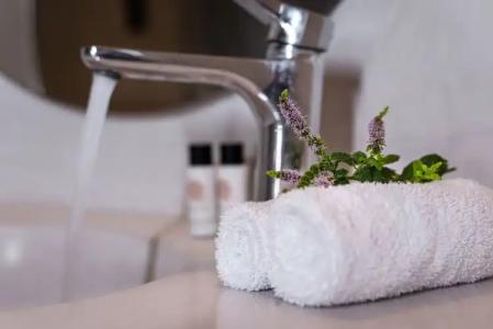 Splendour & Suites - 229