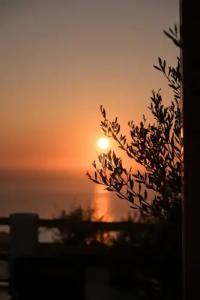 Splendour & Suites - 281