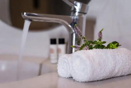 Splendour & Suites - 106