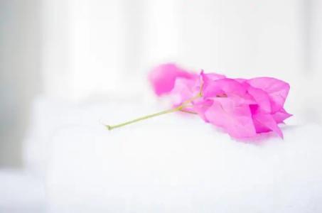 Paradise Resort - 40