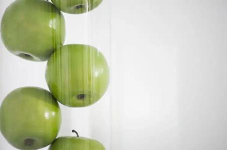 Paradise Resort - 53