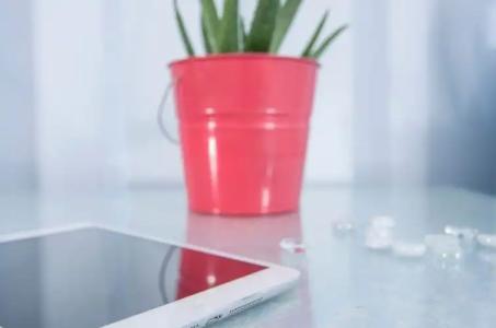 Paradise Resort - 60