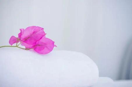 Paradise Resort - 82