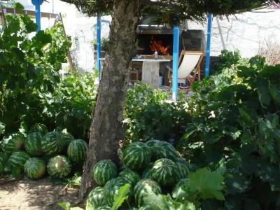 Agios Prokopios - 22