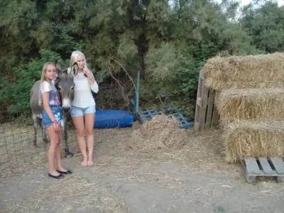 Agios Prokopios - 23