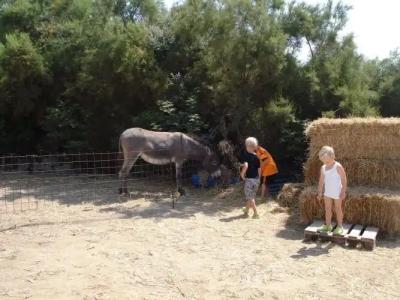 Agios Prokopios - 25