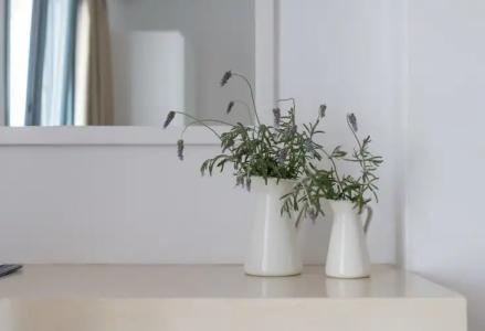 Caldera Romantica - 36