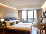 Executive with Acropolis view Double room
