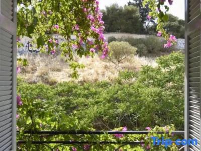 Athens Green Apartments - 71