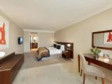 1 Bedroom Club Lounge Access Acropolis View Double Suite with balcony