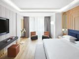 Grand Acropolis Double Suite