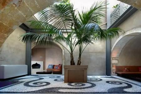 Elia Fatma Boutique - Adults Only - 15