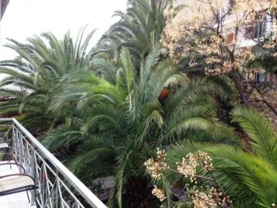 Parnassos Delphi - 85