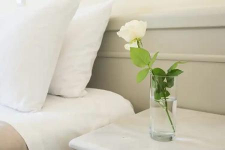 Parnassos Delphi - 74