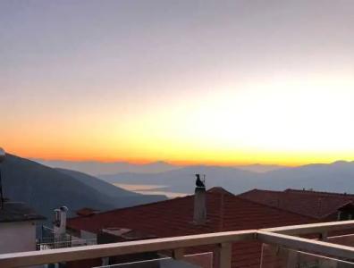 Parnassos Delphi - 108