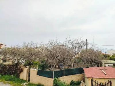 Rastoni Aegina - 151