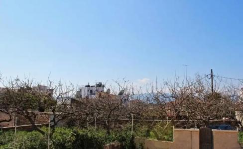 Rastoni Aegina - 107