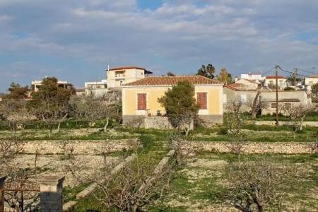 Rastoni Aegina - 131