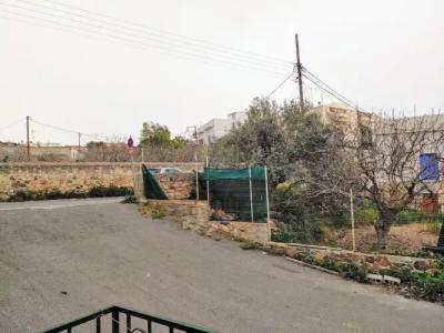 Rastoni Aegina - 145