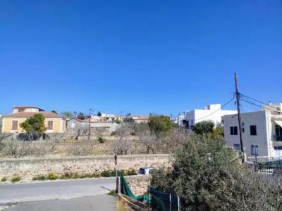 Rastoni Aegina - 117