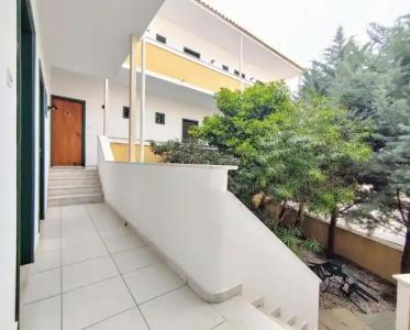 Rastoni Aegina - 100