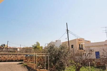 Rastoni Aegina - 154