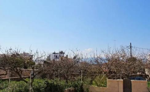 Rastoni Aegina - 164