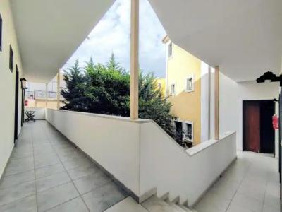 Rastoni Aegina - 101